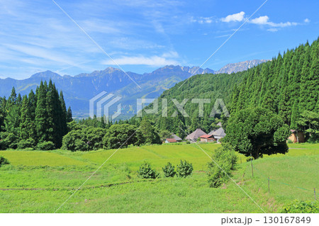 白馬の夏　青鬼の棚田から望む北アルプス 130167849