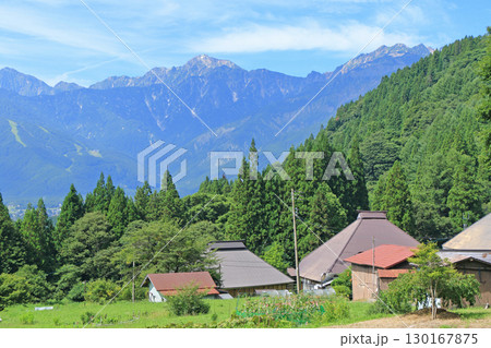 白馬の夏　青鬼の棚田から望む北アルプス 130167875