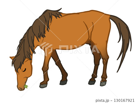 草を食べる与那国馬　鹿毛　馬　ポニー 130167921