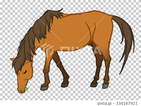 草を食べる与那国馬　鹿毛　馬　ポニー 130167921