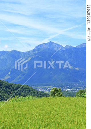 白馬の夏　青鬼の棚田から望む北アルプス 130167952