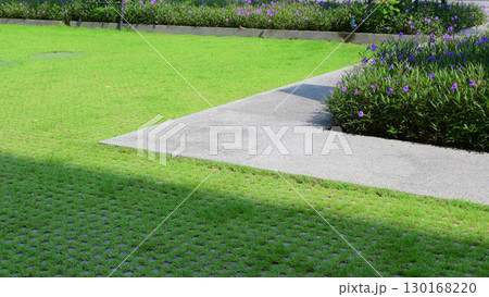 green grass in the garden with sunlight, exterior design for home green grass in the garden with sunlight, exterior design for home 130168220