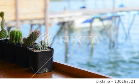 pot of cactus on wood table with texture of water view pot of cactus on wood table with texture of water view 130168321