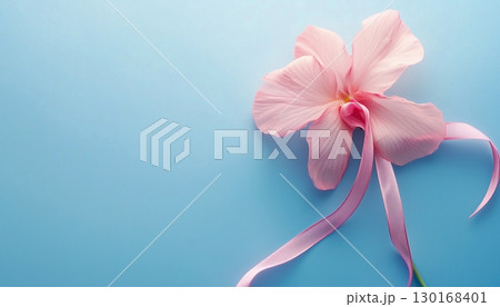 pink flower ribbon tied knot on solid blue background 130168401