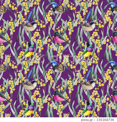 Golden acacia flowers with Australia native birds seamless pattern. Hand drawn watercolor vintage style illustration. Golden wattle floral decor with birds elegant pattern design on purple background 130168736