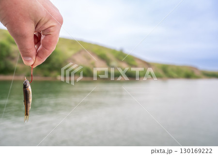 Holding a freshly caught fish by the lake during a cloudy day in early summer Holding a freshly caught fish by the lake during a cloudy day in early summer 130169222