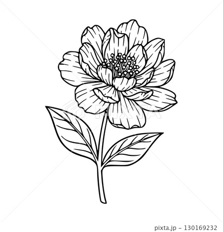 flower icon black and white concept 130169232