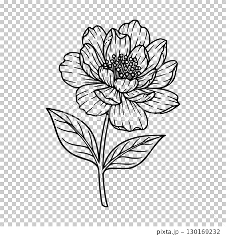 flower icon black and white concept 130169232