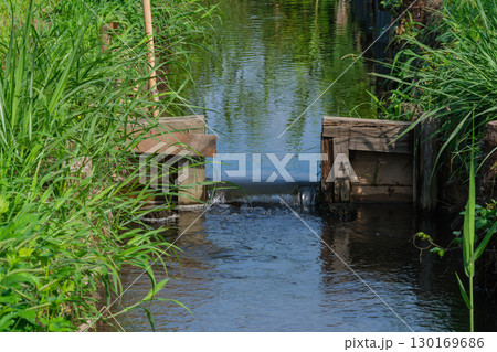 田んぼの小川 130169686