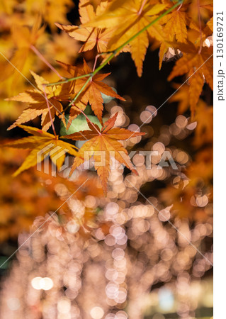 東京丸の内の紅葉 130169721