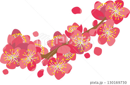 背景素材＜花・梅（部分・塊）＆花びら・カラー＞ 130169730