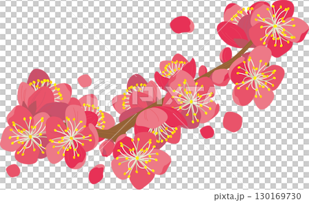 背景素材＜花・梅（部分・塊）＆花びら・カラー＞ 130169730