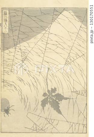 葛飾北斎　富嶽百景　 130170551