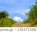 【鳥取砂丘】　草木の生い茂る丘と青空 130171580