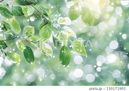 Nature inspired background with blurred green leaves and sunlight bokeh. Perfect for eco, wellness, and organic themes. 130171901