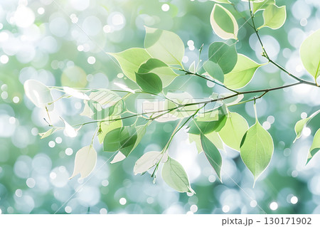 Nature inspired background with blurred green leaves and sunlight bokeh. Perfect for eco, wellness, and organic themes. 130171902