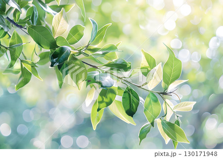 Nature inspired background with blurred green leaves and sunlight bokeh. Perfect for eco, wellness, and organic themes. 130171948