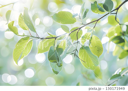 Nature inspired background with blurred green leaves and sunlight bokeh. Perfect for eco, wellness, and organic themes. 130171949