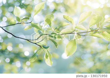 Nature inspired background with blurred green leaves and sunlight bokeh. Perfect for eco, wellness, and organic themes. 130171950