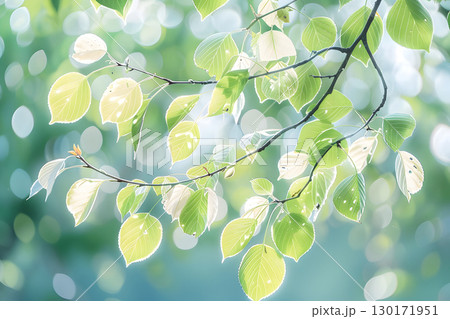 Nature inspired background with blurred green leaves and sunlight bokeh. Perfect for eco, wellness, and organic themes. 130171951