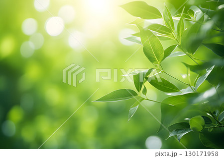 Nature inspired background with blurred green leaves and sunlight bokeh. Perfect for eco, wellness, and organic themes. 130171958