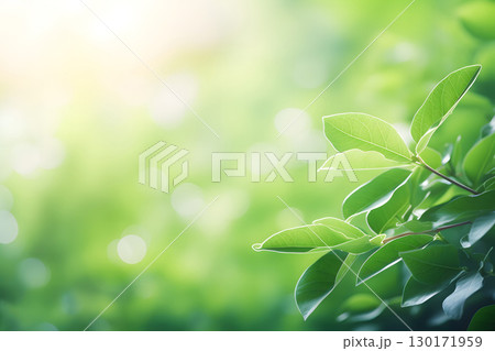 Nature inspired background with blurred green leaves and sunlight bokeh. Perfect for eco, wellness, and organic themes. 130171959