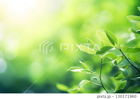 Nature inspired background with blurred green leaves and sunlight bokeh. Perfect for eco, wellness, and organic themes. 130171960