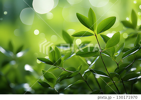 Nature inspired background with blurred green leaves and sunlight bokeh. Perfect for eco, wellness, and organic themes. Nature inspired background with blurred green leaves and sunlight bokeh. Perfect for eco, wellness, and organic themes. 130171970