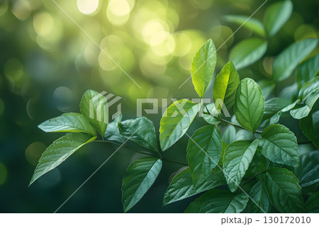 Nature inspired background with blurred green leaves and sunlight bokeh. Perfect for eco, wellness, and organic themes. 130172010