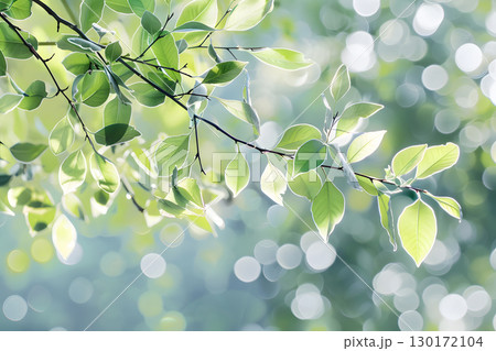 Nature inspired background with blurred green leaves and sunlight bokeh. Perfect for eco, wellness, and organic themes. Nature inspired background with blurred green leaves and sunlight bokeh. Perfect for eco, wellness, and organic themes. 130172104