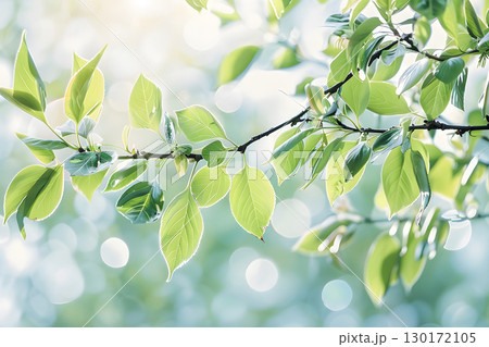 Nature inspired background with blurred green leaves and sunlight bokeh. Perfect for eco, wellness, and organic themes. Nature inspired background with blurred green leaves and sunlight bokeh. Perfect for eco, wellness, and organic themes. 130172105