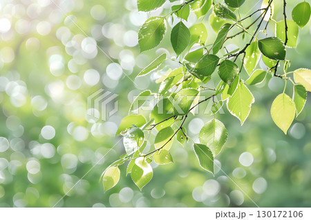 Nature inspired background with blurred green leaves and sunlight bokeh. Perfect for eco, wellness, and organic themes. Nature inspired background with blurred green leaves and sunlight bokeh. Perfect for eco, wellness, and organic themes. 130172106