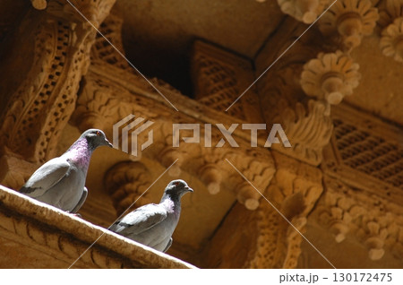 Pigeons on the wall Pigeons on the wall 130172475