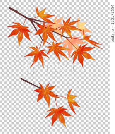秋葉樹枝,水彩風格,陰影 秋葉樹枝,水彩風格,陰影 130172554