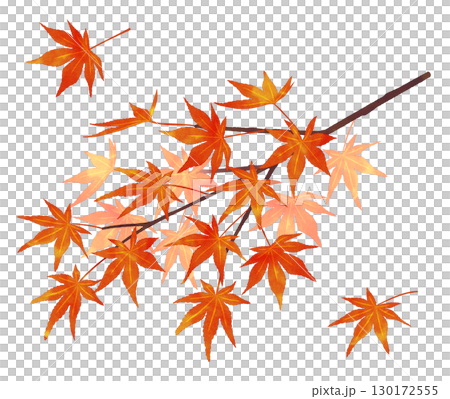 秋葉樹枝，水彩風格，陰影 130172555