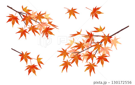 紅葉の枝 水彩風 濃淡あり 紅葉の枝 水彩風 濃淡あり 130172556