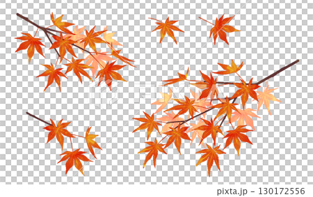 紅葉の枝 水彩風 濃淡あり 紅葉の枝 水彩風 濃淡あり 130172556