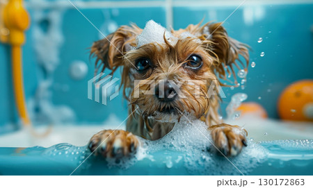 Funny dog photography cute spa Day laying bed relax beauty mask, view from the top, generative ai 130172863