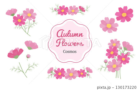 コスモスのイラスト素材セット 130173220