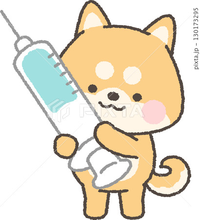 注射器を持つ茶色の柴犬 130173295