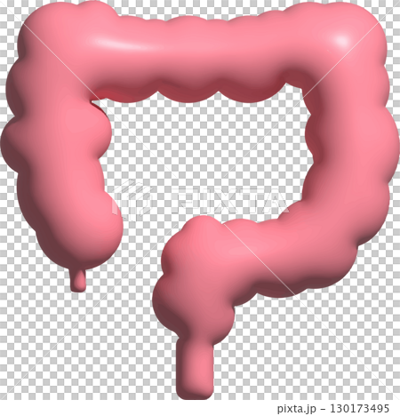大腸3D 130173495