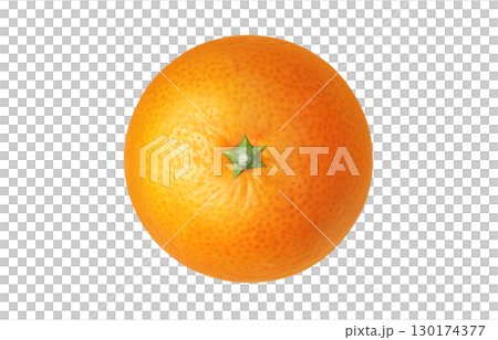 Mandarin orange illustration realistic white background Mandarin orange illustration realistic white background 130174377