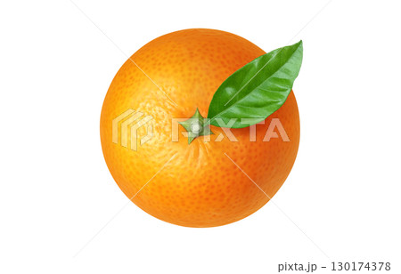 みかん イラスト リアル 白バック 130174378