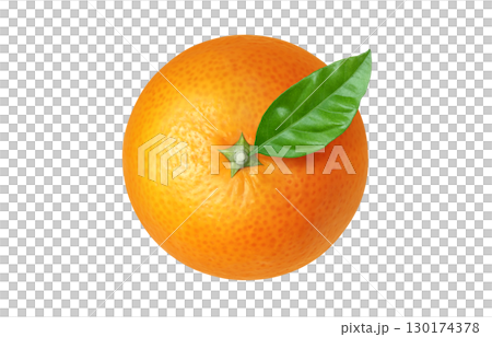 橘子插圖逼真的白色背景 130174378