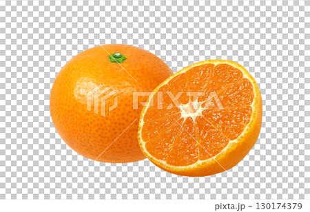 橘子插圖逼真的白色背景 130174379