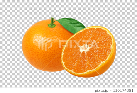 Mandarin orange illustration realistic white background 130174381