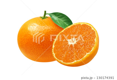 みかん イラスト リアル 白バック 130174391