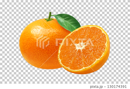 みかん イラスト リアル 白バック 130174391
