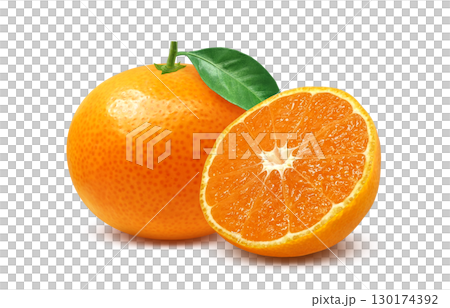 みかん イラスト リアル 白バック 130174392