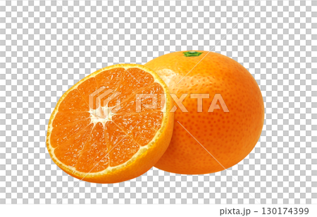 橘子插圖逼真的白色背景 130174399
